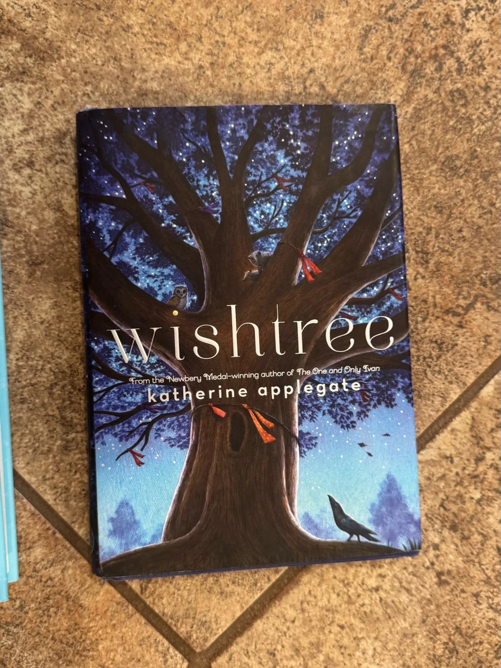 3 Hardback Classic Books for Young Readers